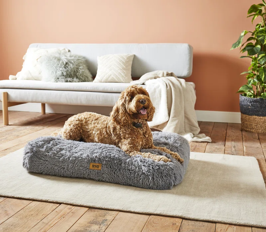 Comfort & Control Bundle
