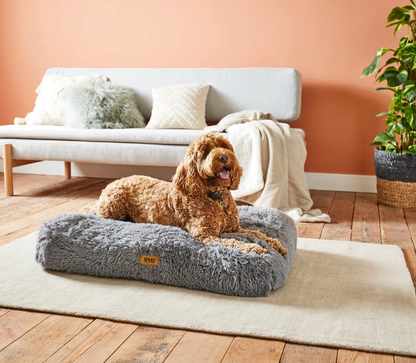 Comfort & Control Bundle