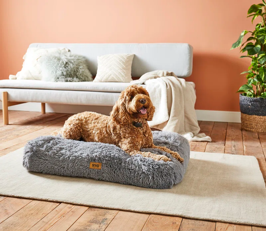 Comfort & Control Bundle